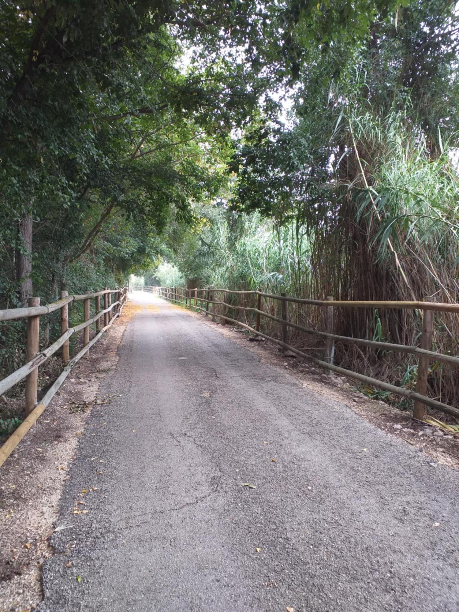 Albergue Rosa Molas Arrabal de Jesus エクステリア 写真