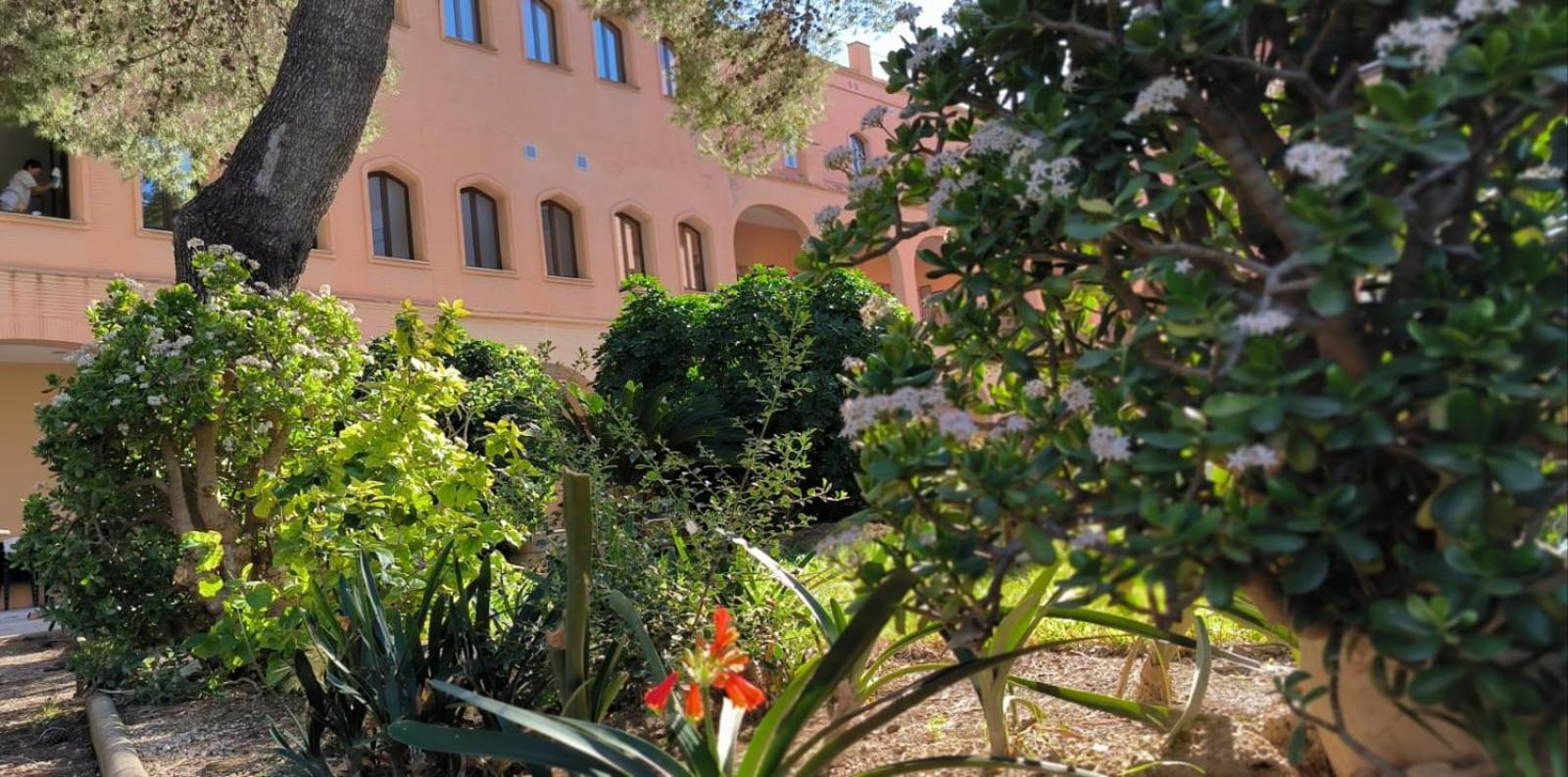 Albergue Rosa Molas Arrabal de Jesus エクステリア 写真